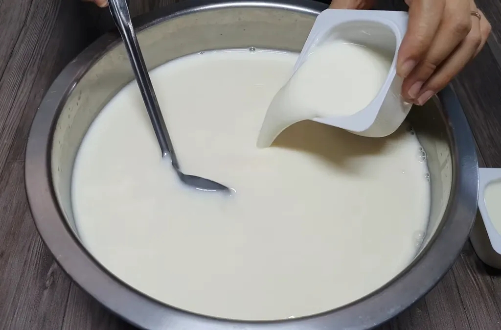 Cách làm sữa chua bằng nồi cơm điện ngon đơn giản tại nhà 5 Hòa men sữa chua cái (Nguồn ảnh: internet)