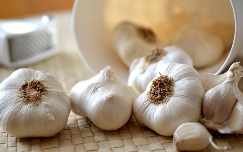 Cách làm tỏi đen bằng nồi cơm điện tại nhà, không cần máy chuyên dụng 4 Lựa chọn tỏi có vỏ ngoài khô và không mọc mầm (Nguồn ảnh: internet)