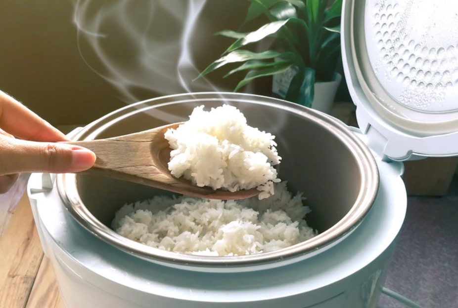 Cách vệ sinh nồi cơm điện sạch, hết mùi, bền lâu 1 Vì sao cần vệ sinh nồi cơm điện thường xuyên (Nguồn: Internet)
