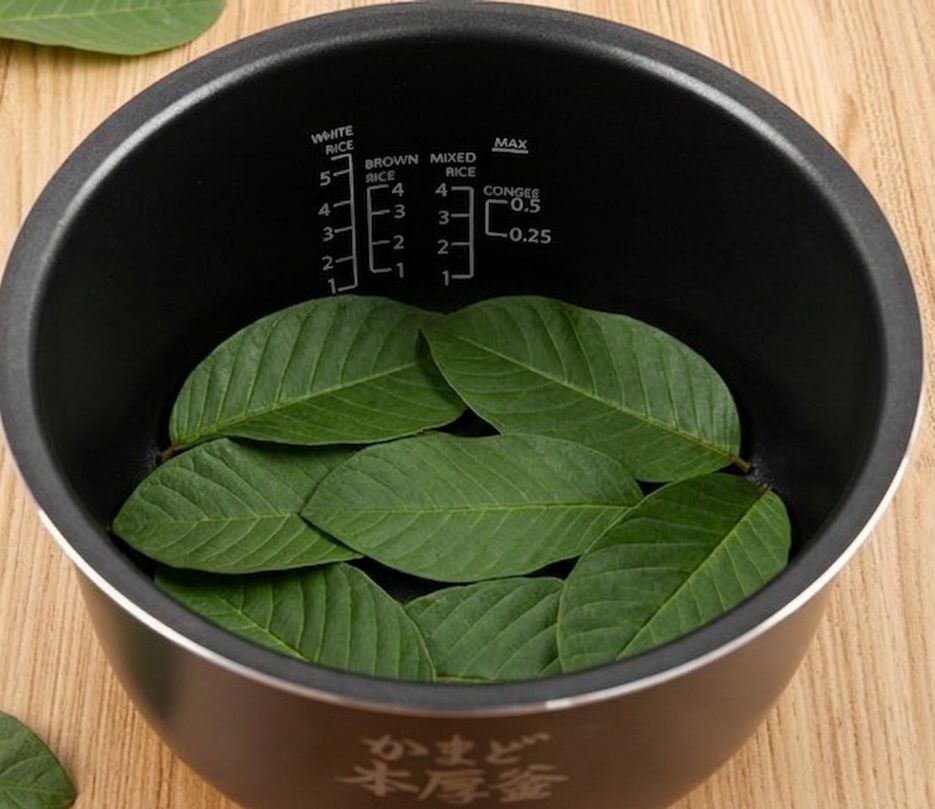 Cách kho cá bằng nồi cơm điện tiện lợi mà đậm đà tại nhà 4 Lót lá chè xanh hoặc lá ổi dưới đáy nồi cơm điện trước khi kho cá (Nguồn: Internet)