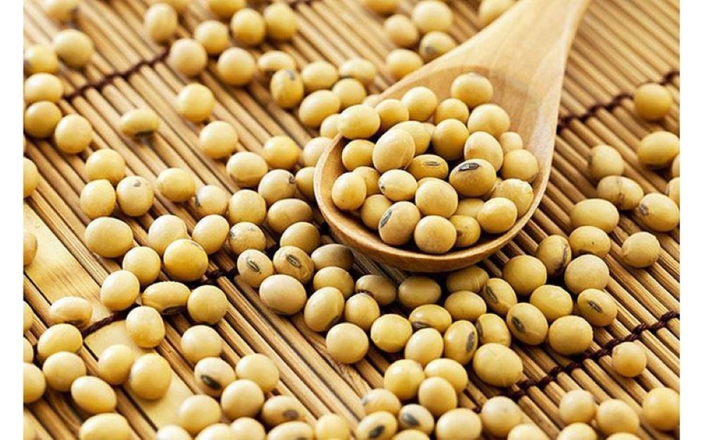 Chuẩn bị đậu nành để làm natto