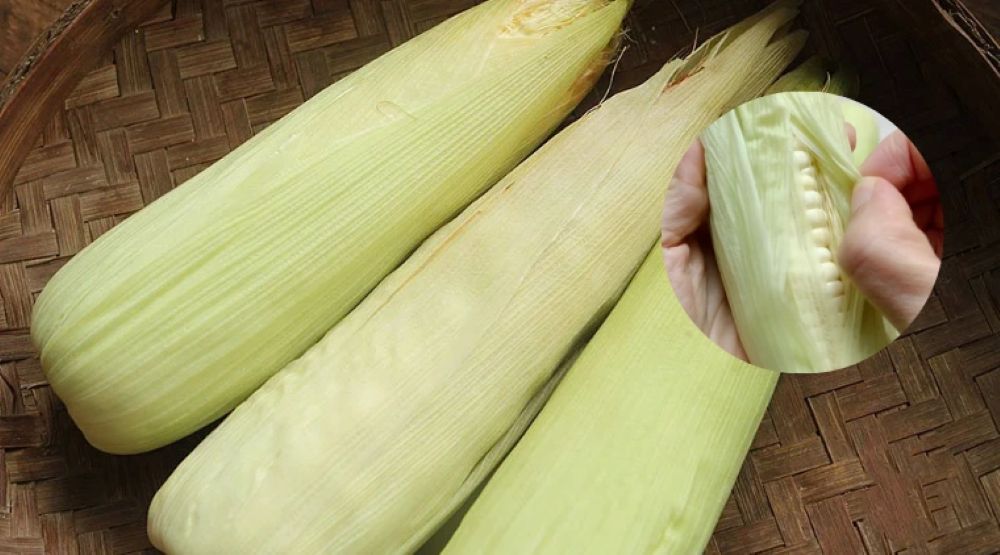 Sơ chế ngô trước khi luộc
